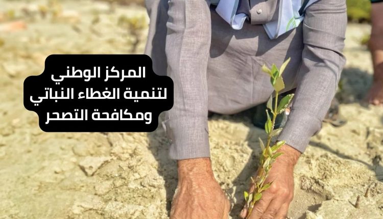 المركز الوطني لتنمية الغطاء النباتي ومكافحة التصحر