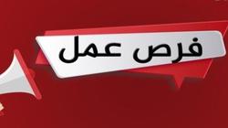 وظائف الرياض