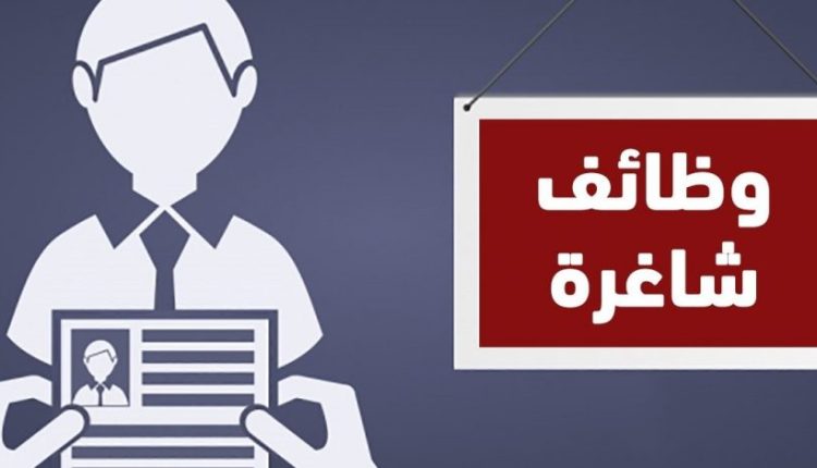 وظائف الرياض